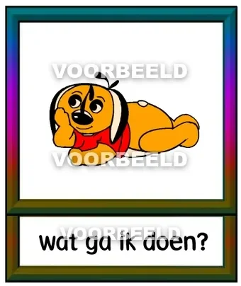 Wat ga ik doen
