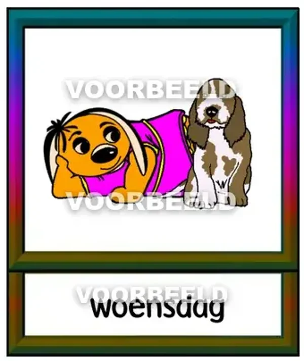 Woensdag 3
