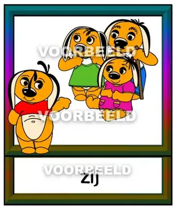 Zij