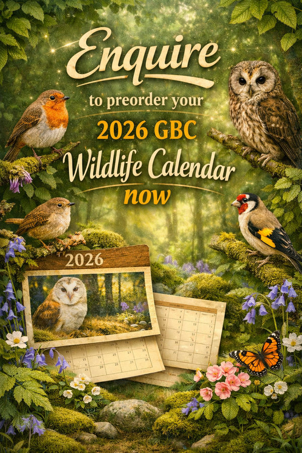 Wildlife Calendar 2027