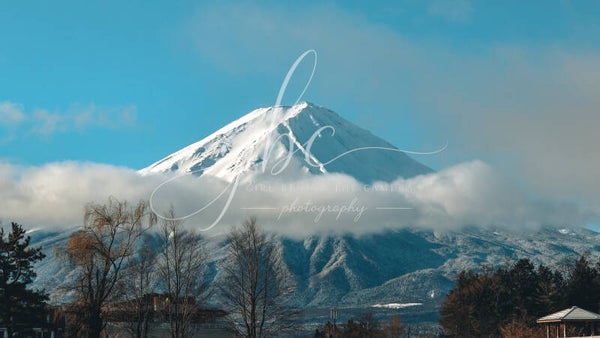 Snow capped icon