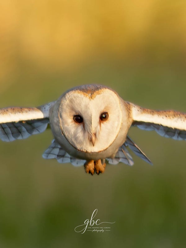 Wildlife Calendar 2027