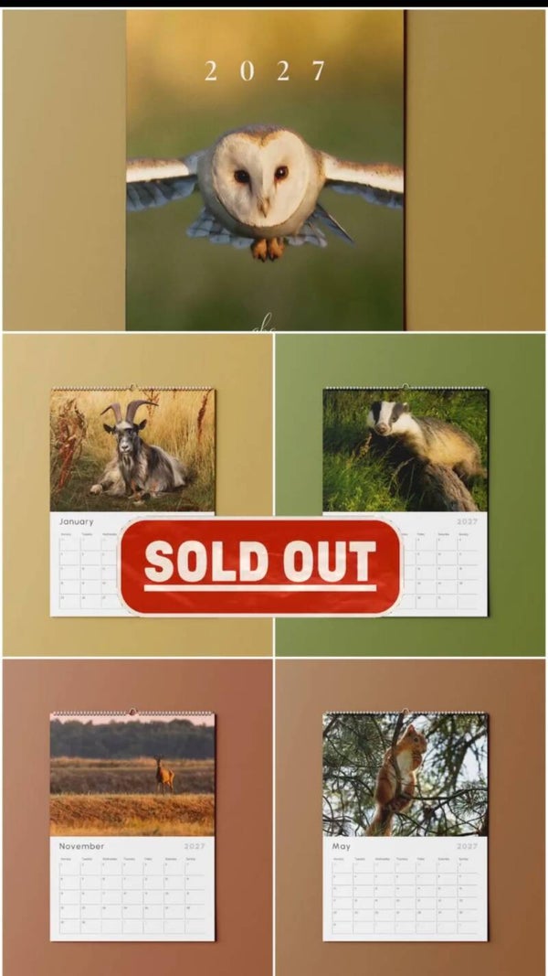 Wildlife Calendar 2027