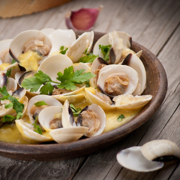 ASC Venusmuslinger i skal, forkogte (Vongole) – 1 kg (70-90 stk/kg)