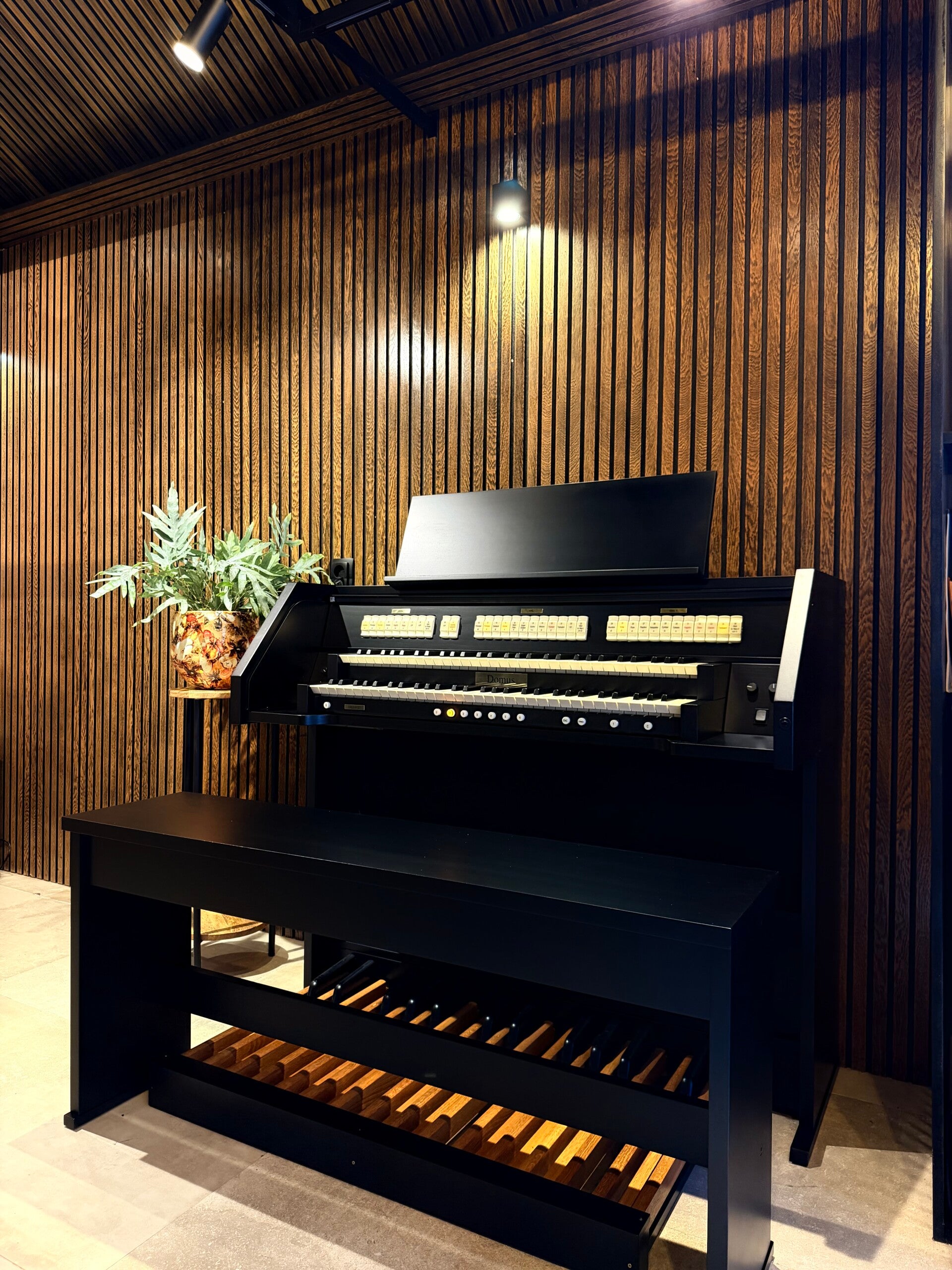 Domus jubileum 227