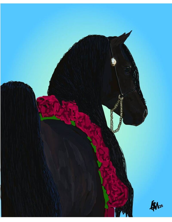 ARAB STAR STALLION