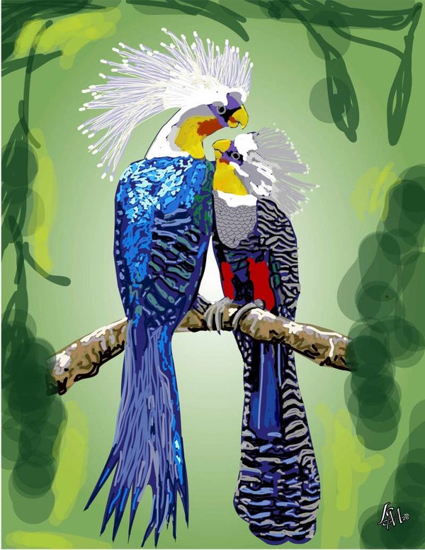 BIRDS OF PARADISE