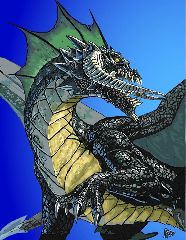 BLACK DRACO