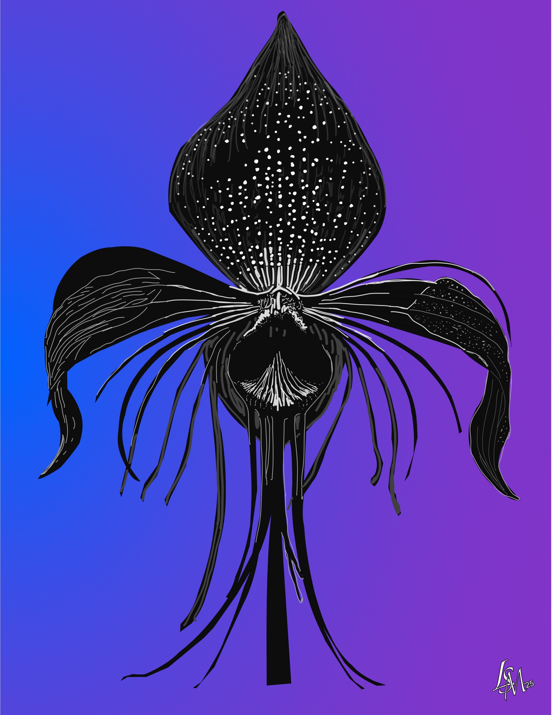 Black Orchid