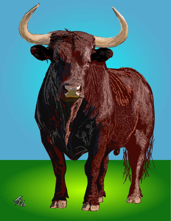 BULL
