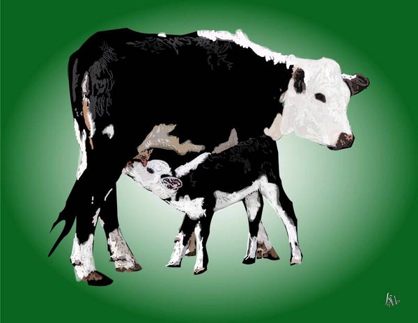 Cows