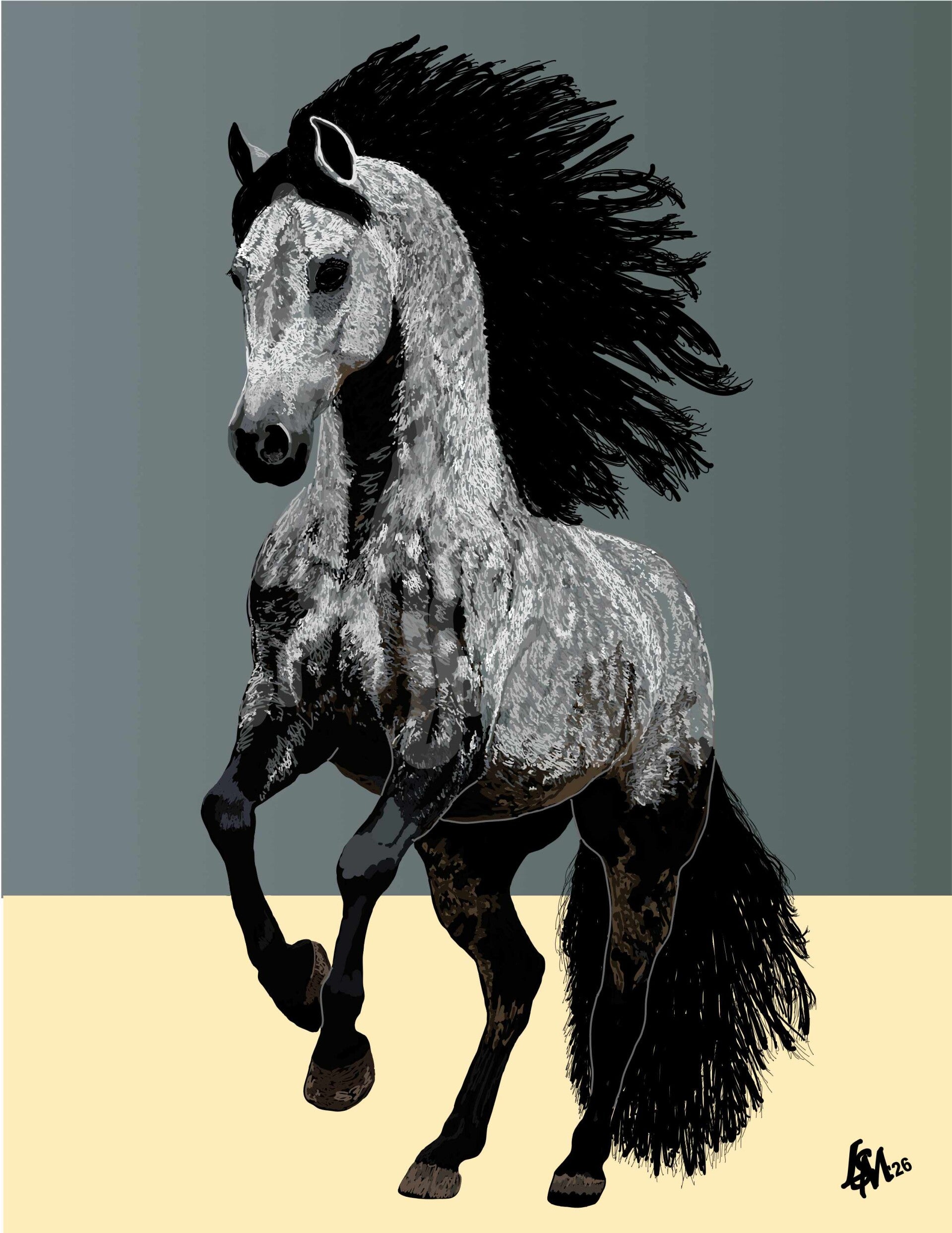Grey Appy
