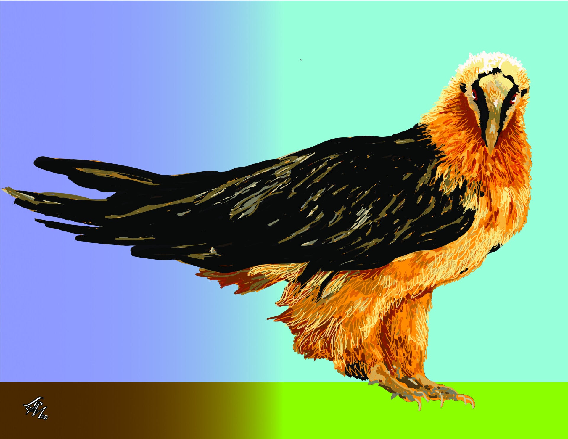 VULTURE