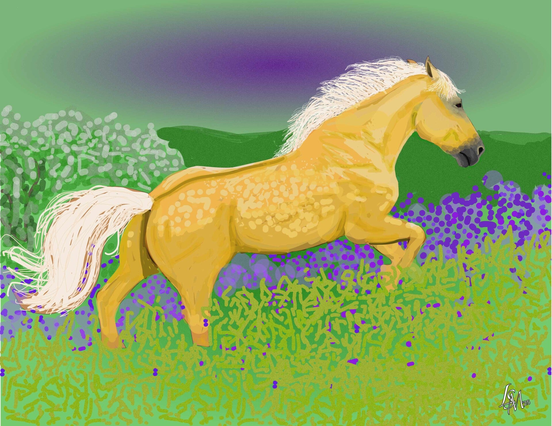 "Palomino in the lavender"