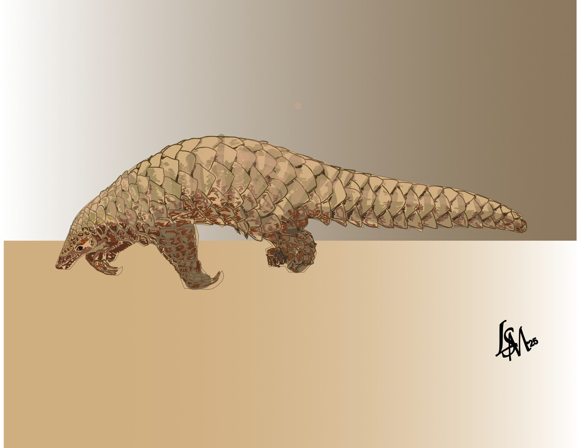 Pangolin