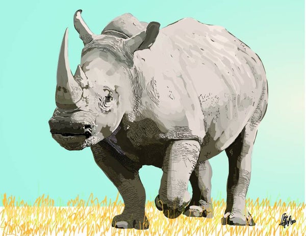 WHITE RHINO