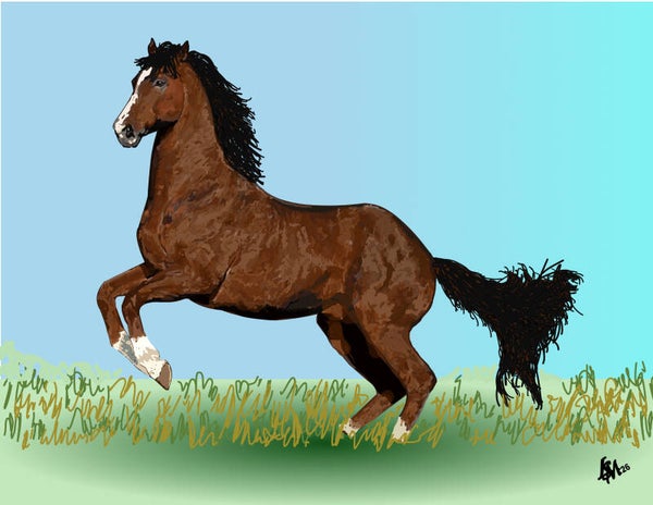 Thoroughbred
