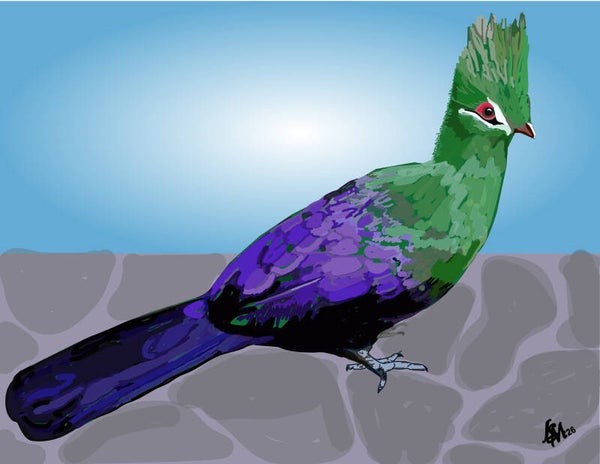 TURACO