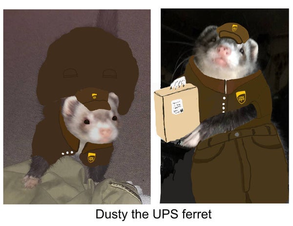 UPS ferret