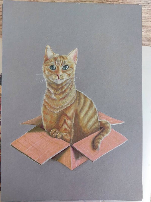 Dieren portret A5 formaat