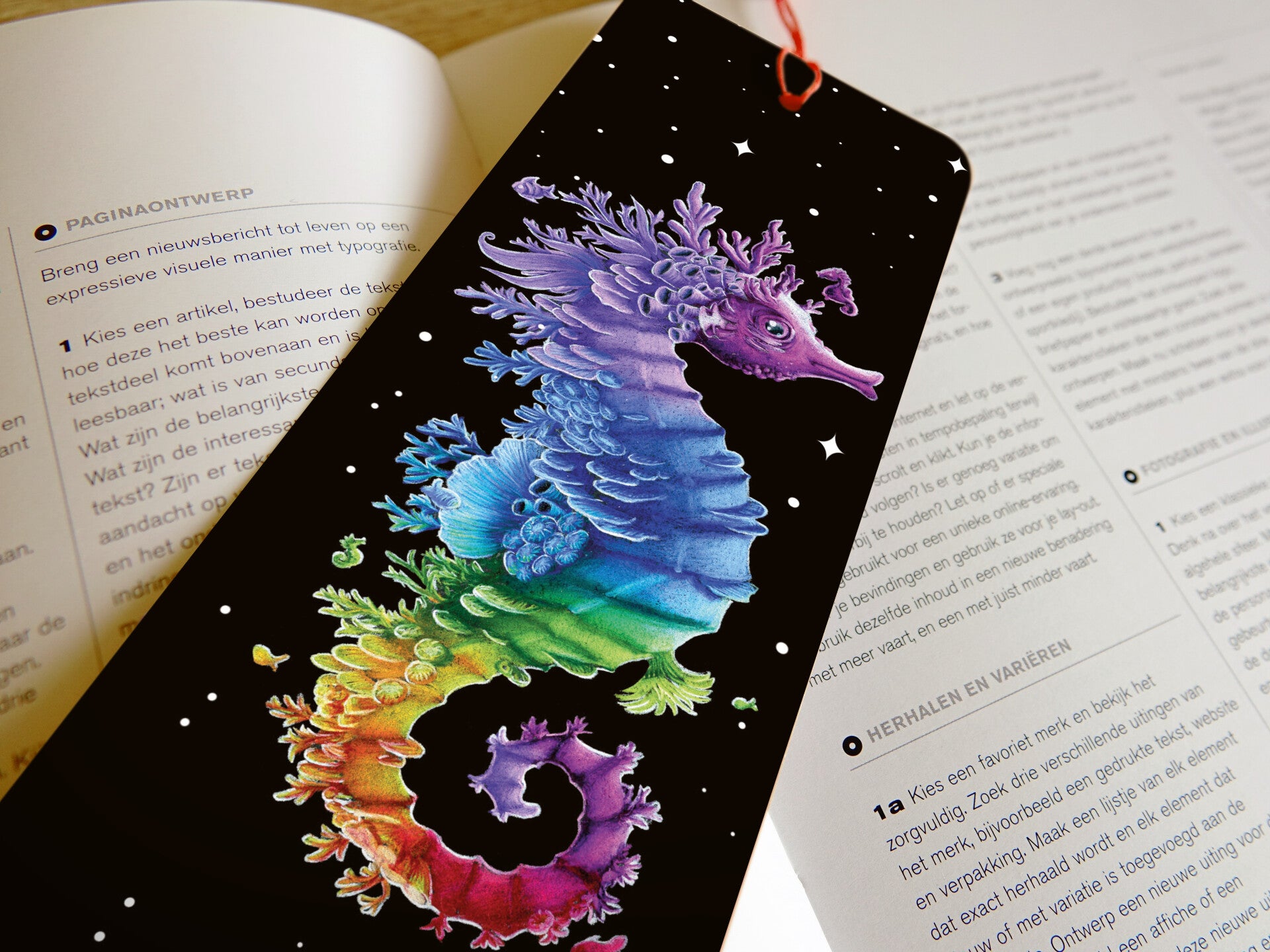 Regenboog zeepaard boekenlegger 74x210 formaat