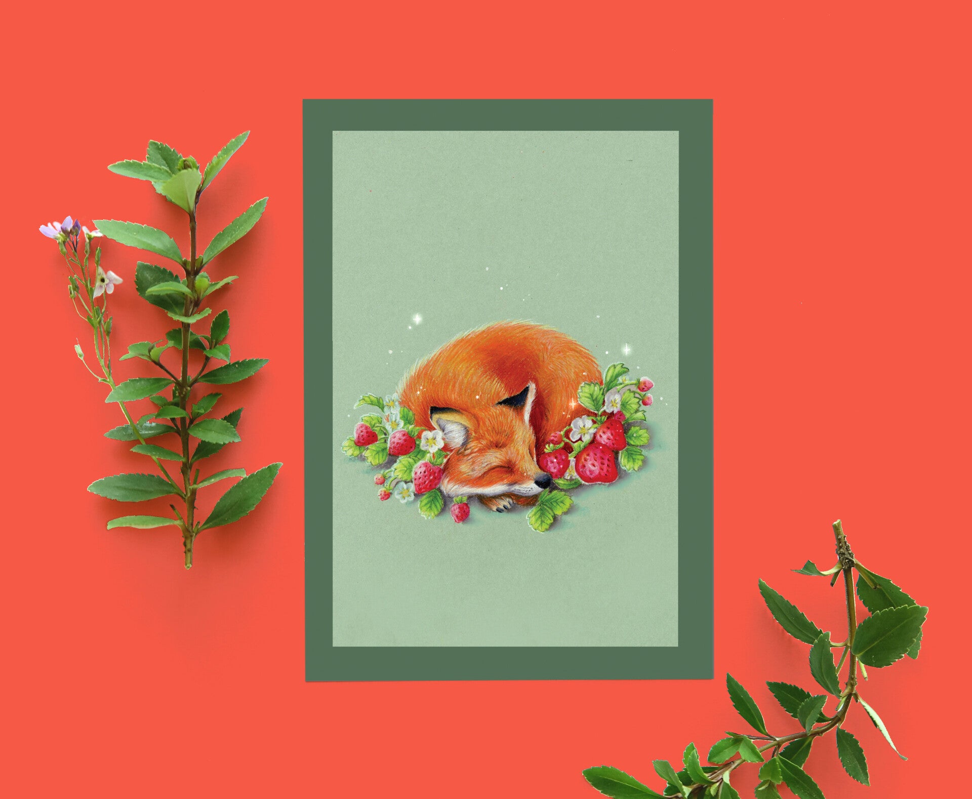 Vos aardbeien kaart, potlood, handgemaakt, ansichtkaart, 148x105 mm (5.8x4.1 inch)