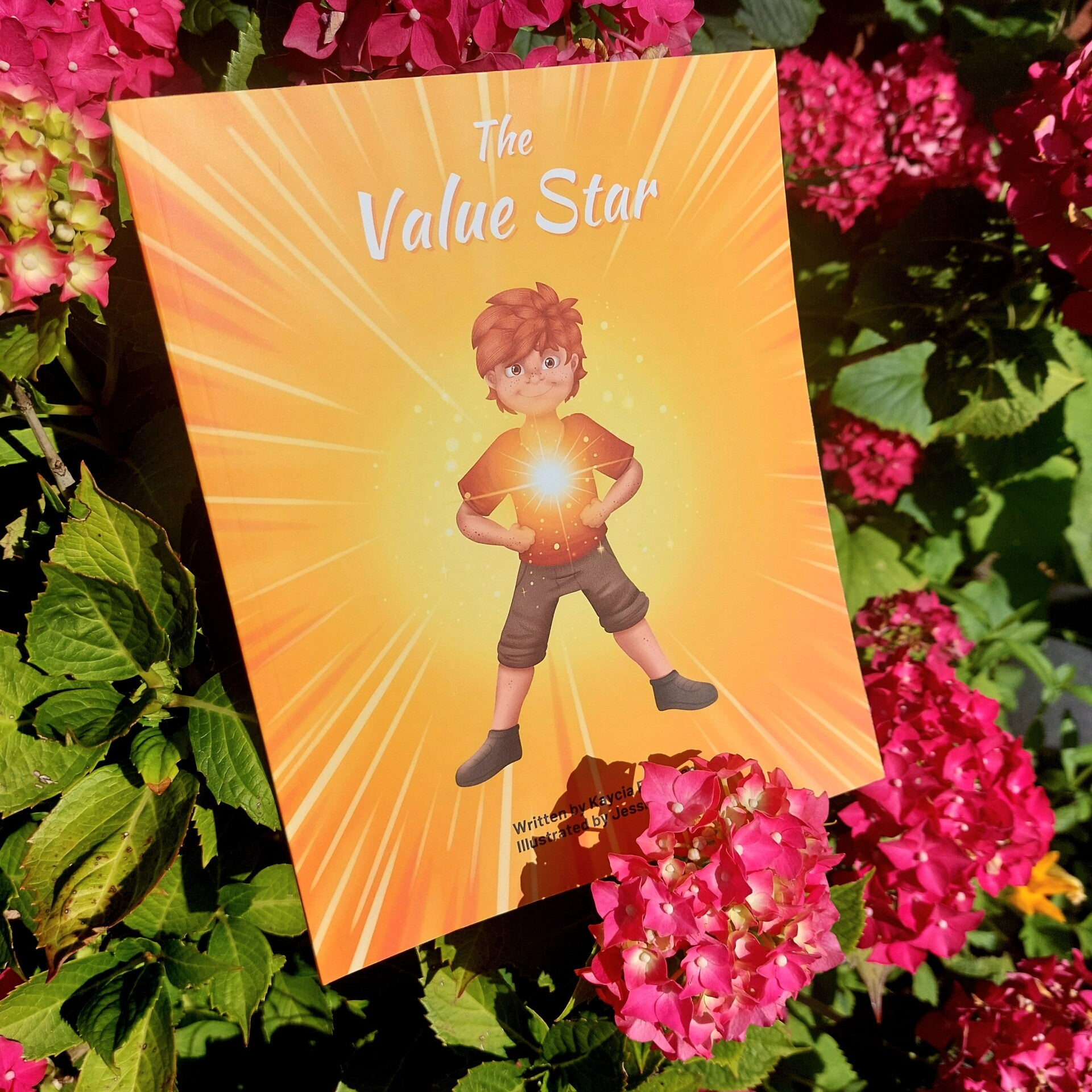 The Value Star boek