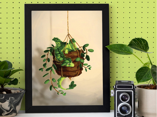 Succulent plant dragon, kleine A4 poster, 21x29,7 cm (8.27 x 11.69 inches)