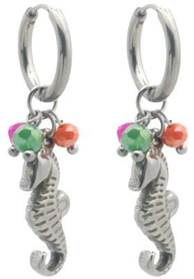 Oorbellen Denise - Zilver