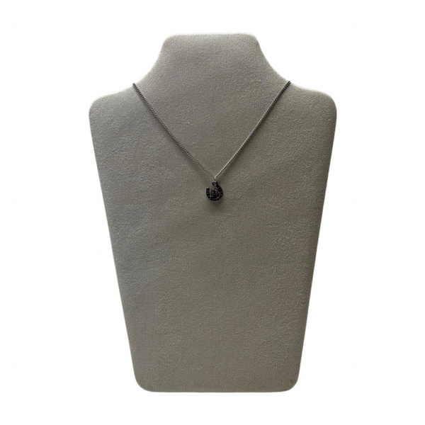Ketting hoefijzer - Zilver
