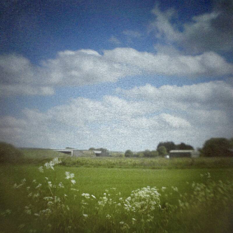 Camera obscura photo of field