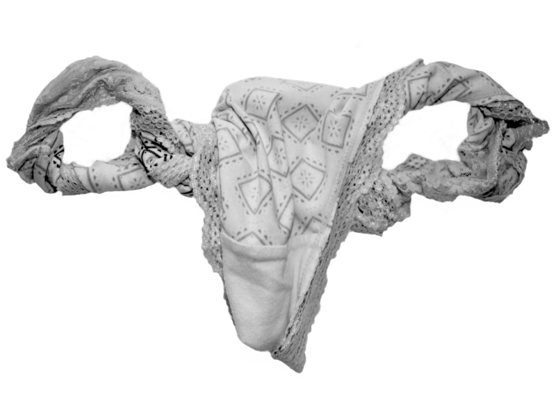Women's underwear shaped like female reproductive system