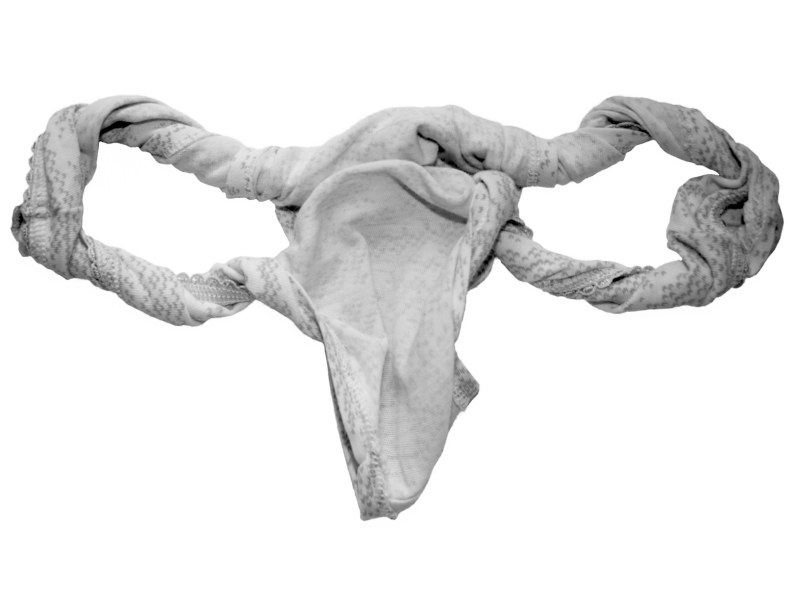Women's underwear shaped like female reproductive system