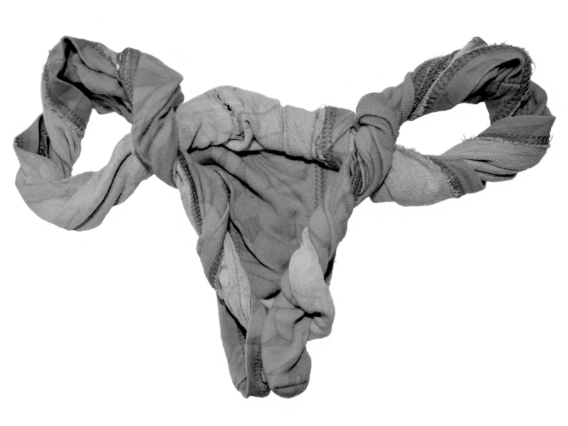 Women's underwear shaped like female reproductive system