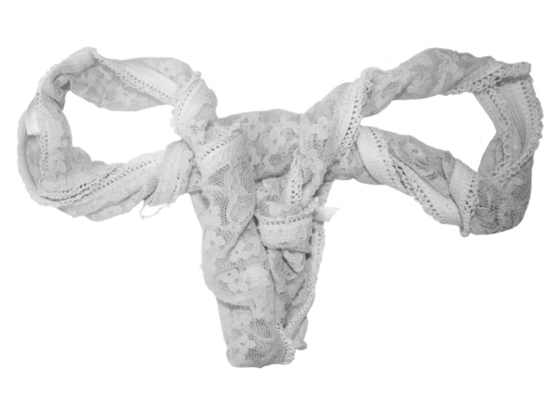 Women's underwear shaped like female reproductive system