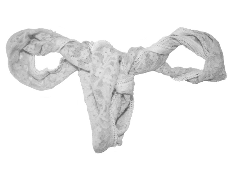 Women's underwear shaped like female reproductive system