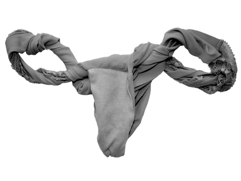 Women's underwear shaped like female reproductive system