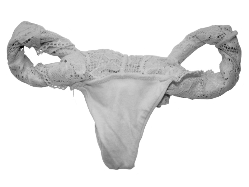 Women's underwear shaped like female reproductive system