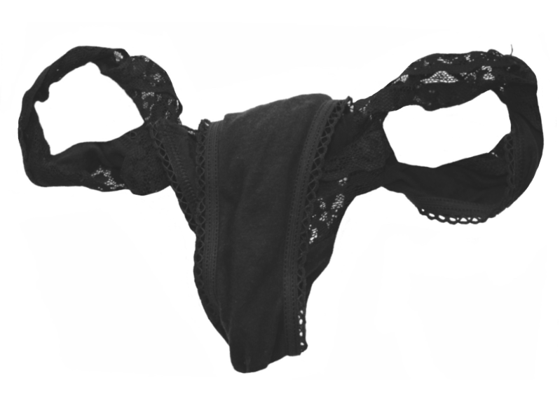 Women's underwear shaped like female reproductive system