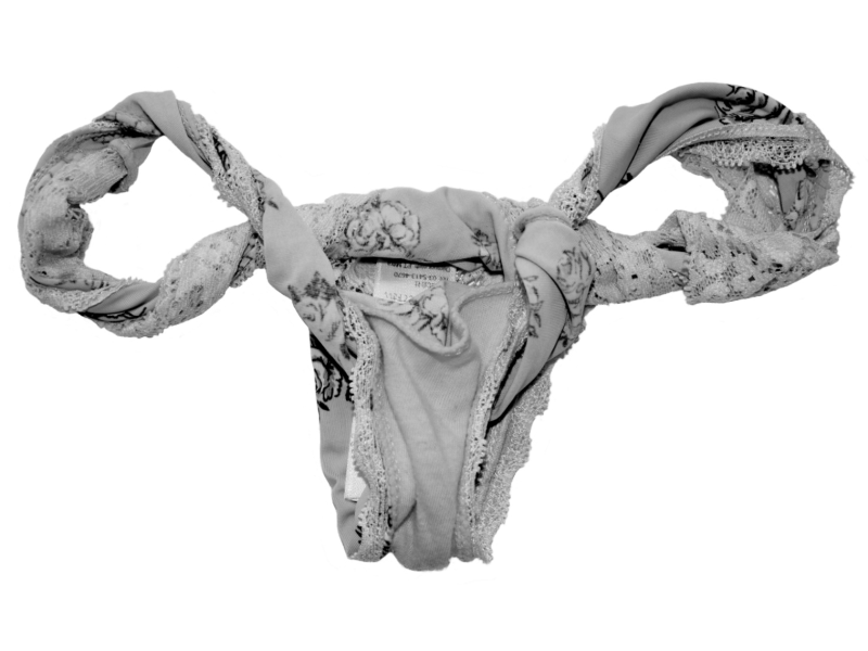Women's underwear shaped like female reproductive system