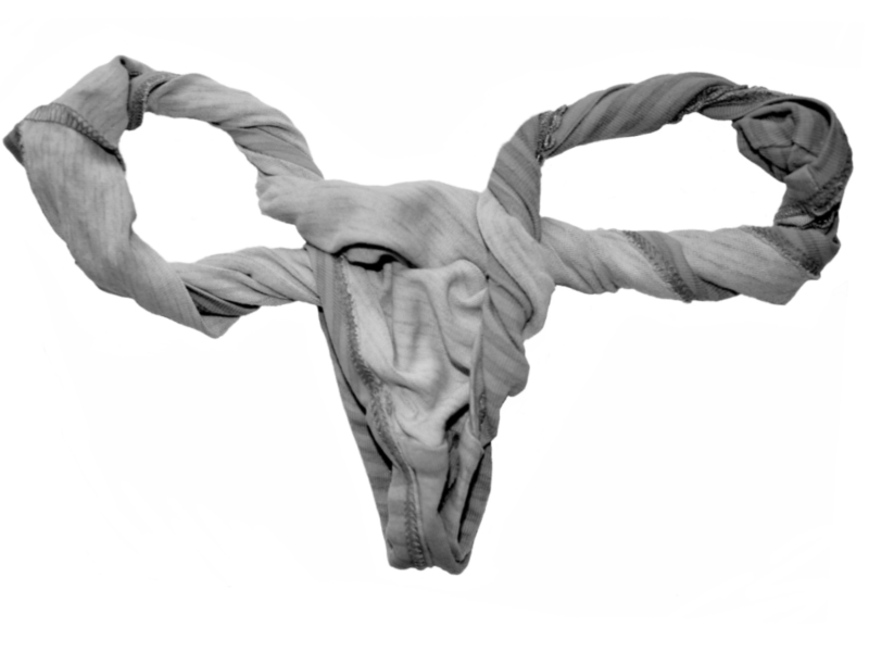 Women's underwear shaped like female reproductive system