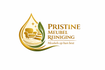 PristineMeubel Reiniging