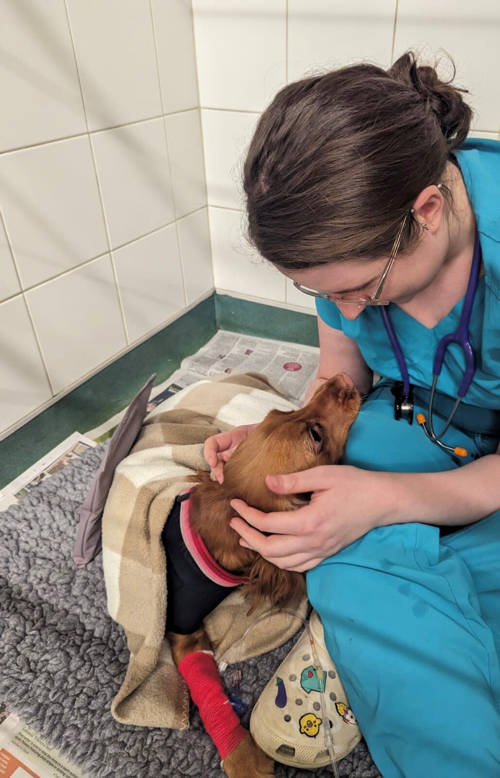 Veterinary Nursing Sustainability Of The Profession And Environment veterinary-nursing-sustainability-of-the-profession-and-environment