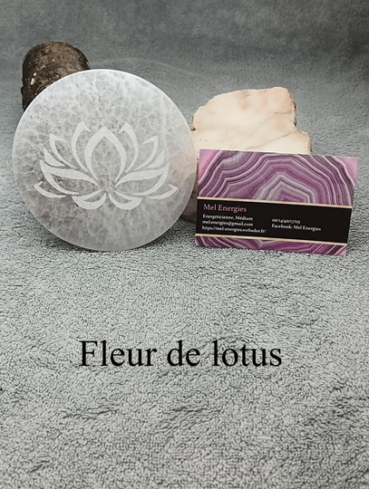 Fleur de lotus