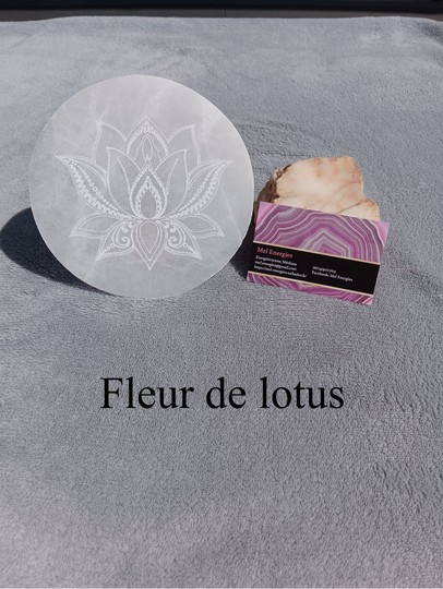 Grande fleur de lotus