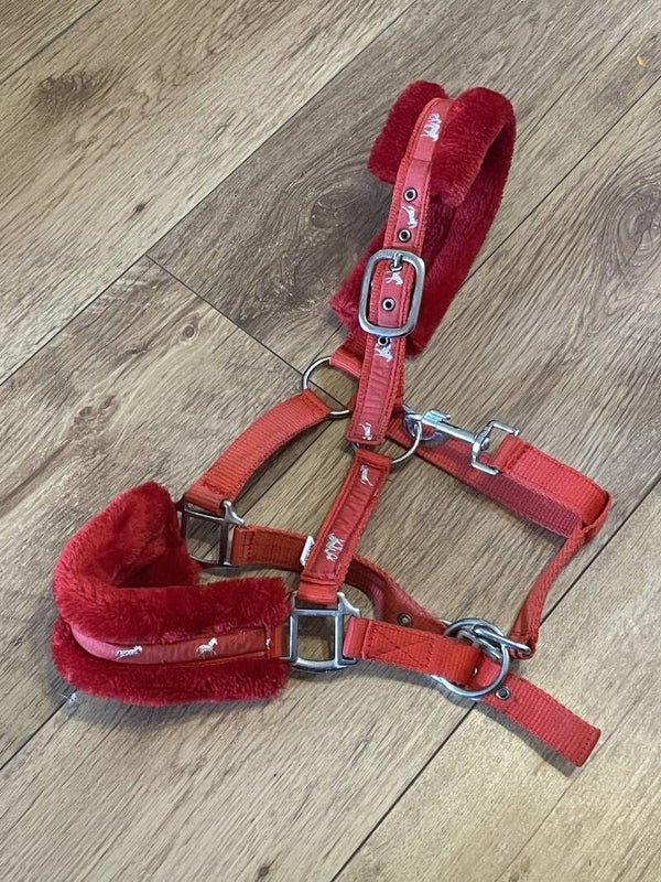 Shetland Headcollar