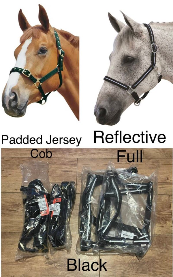 Economy Headcollars