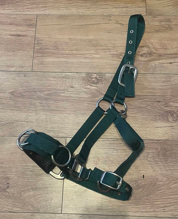 Cob Lunging Cavesson
