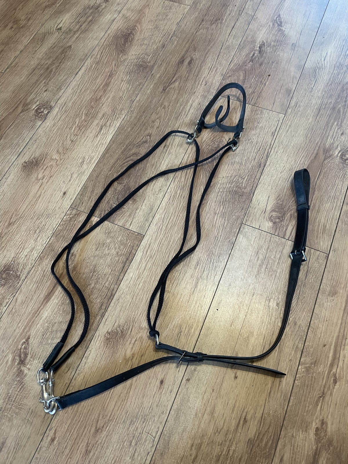 Lunging/Training Equipment Bit on the Side Tack Sales