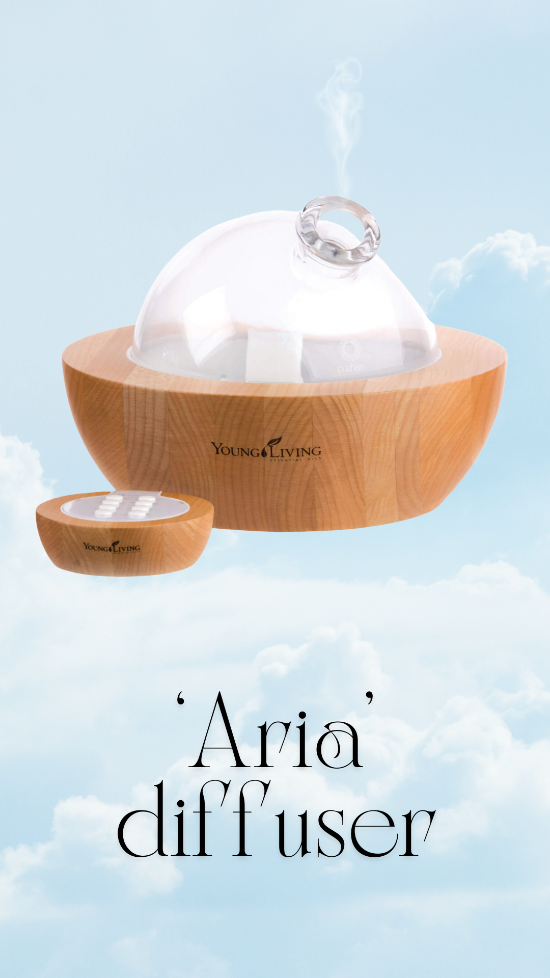 Aria diffuser
